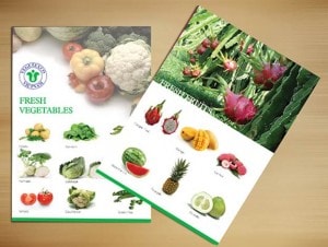 in catalogue giá rẻ đẹp nhanh chất lượng cao