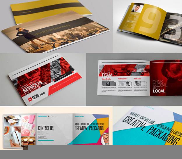 in catalogue giá rẻ