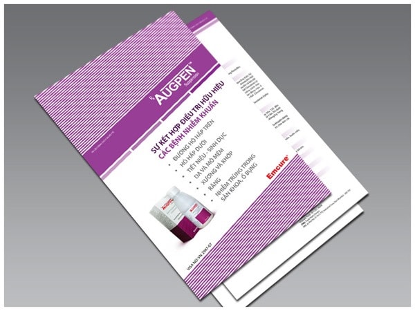 thiết kế in ấn catalogue chuyên nghiệp