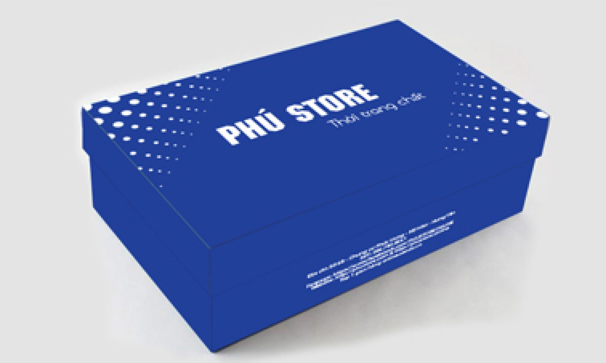 BV Hộp đựng giày