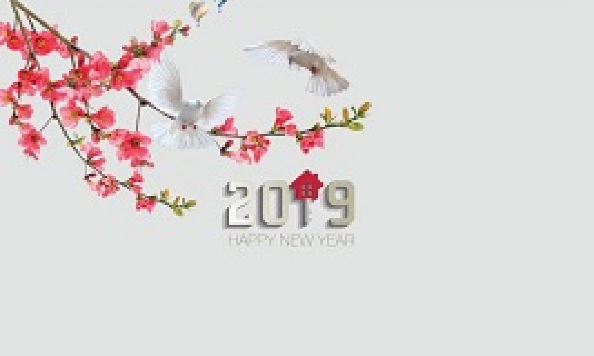 catalogue mẫu lịch phôi sẵn An Hảo 2019