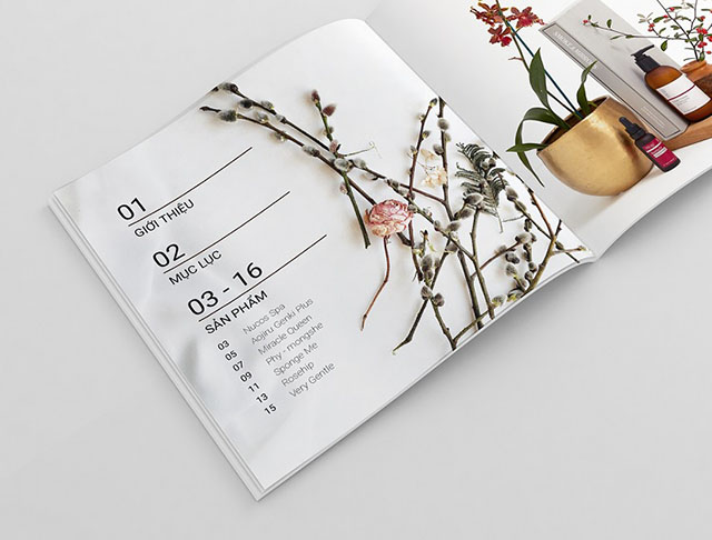 Thiết kế catalogue mỹ phẩm nên sử dụng gam màu nhã nhặn, tươi sáng